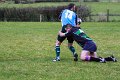 Perennials_at_Monaghan_01_12_2013 (5)
